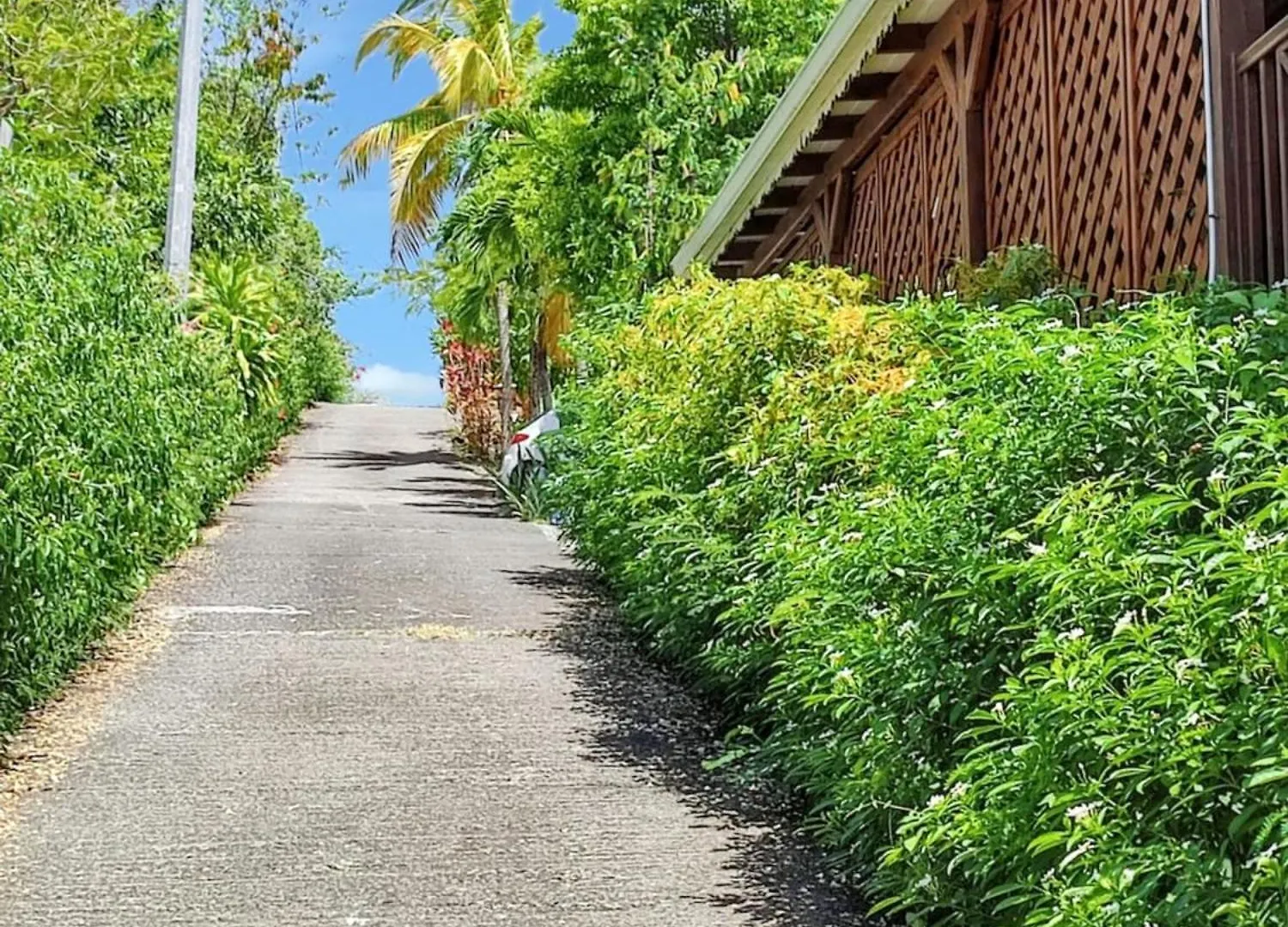 Studio Moderne Avec Vue Sur Mer A Vieux Habitants 50 M² Terrasse 0*, Vieux-Habitants Guadeloupe